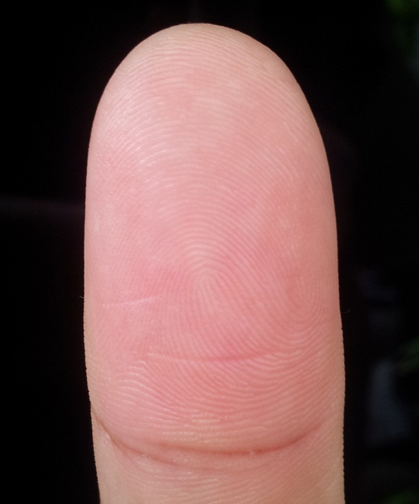 fingerprint pattern